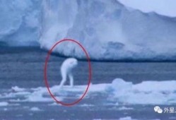 南极最新爆料,揭秘未知的冰原奥秘